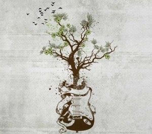 Gitarlarda Ağaç Seçimi
