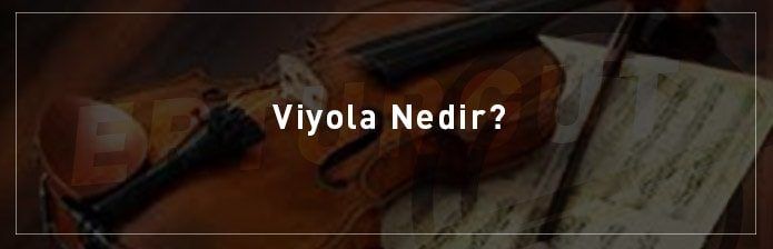 Viyola-Nedir
