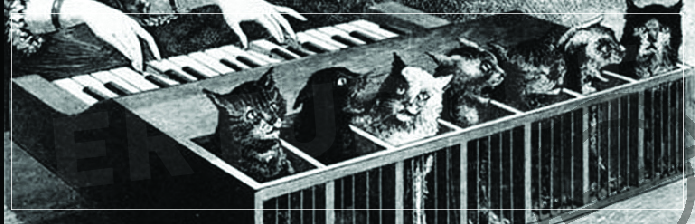 Kedilerden oluşan enstrüman
