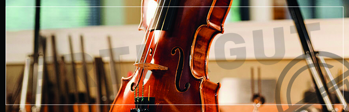 Keman Mı Çello Mu?