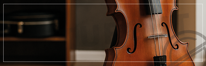 Çello Satın Alırken Nelere Dikkat Edilmeli? Ayrıntılı Rehber