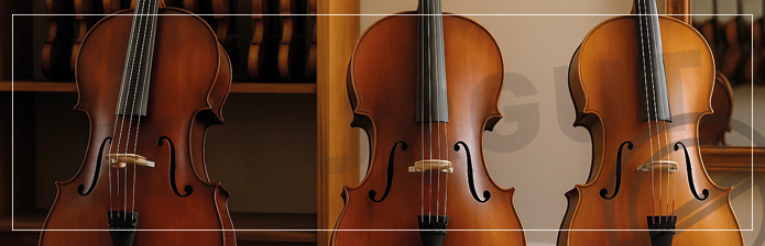 Çello Satın Alırken Nelere Dikkat Edilmeli? Ayrıntılı Rehber