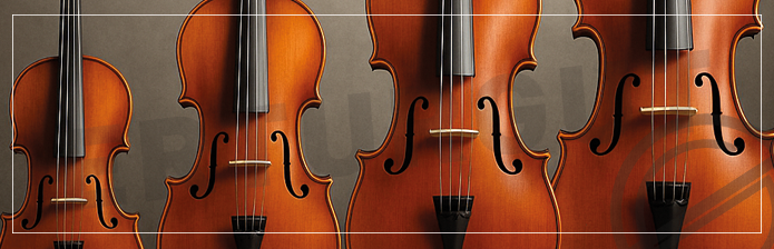 Yaş ve Boya Göre Çello Boyutu Rehberi