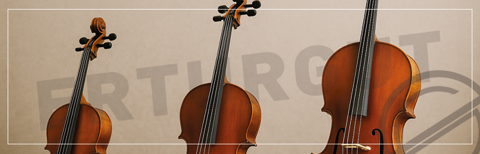 Yaş ve Boya Göre Çello Boyutu Rehberi